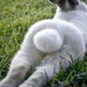 Meet your Posher, Leah